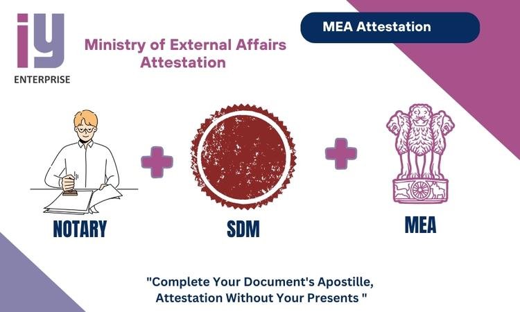 MEA Attestation